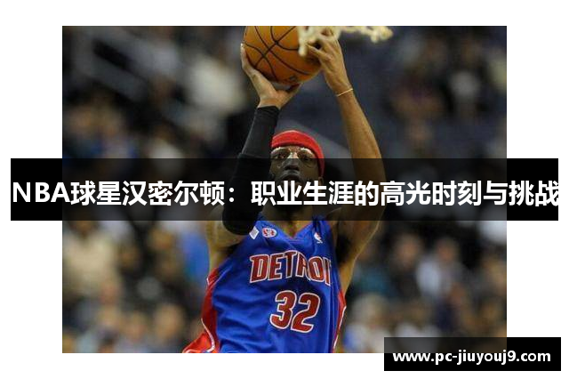 NBA球星汉密尔顿：职业生涯的高光时刻与挑战