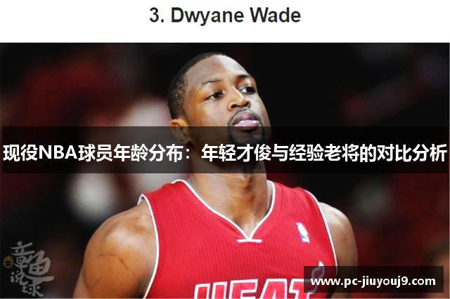 现役NBA球员年龄分布：年轻才俊与经验老将的对比分析