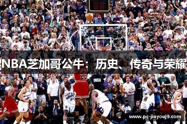NBA芝加哥公牛：历史、传奇与荣耀